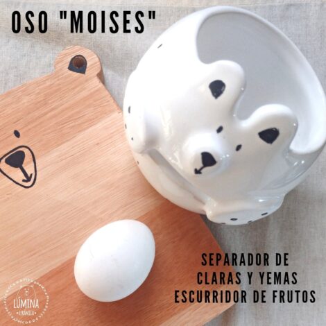 "Oso Moisés"